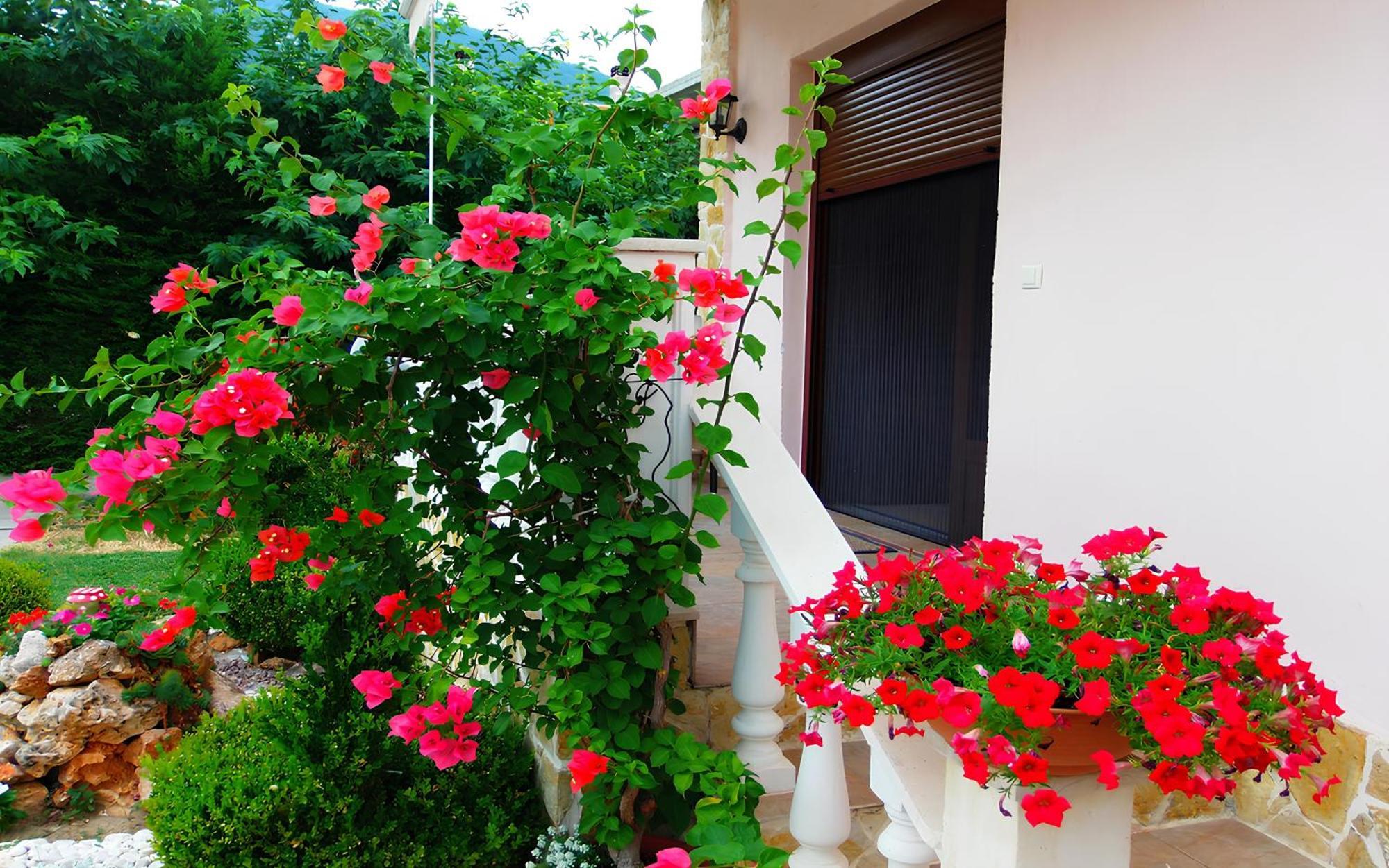 Relax Pozar Loutraki (Pella) Exterior foto